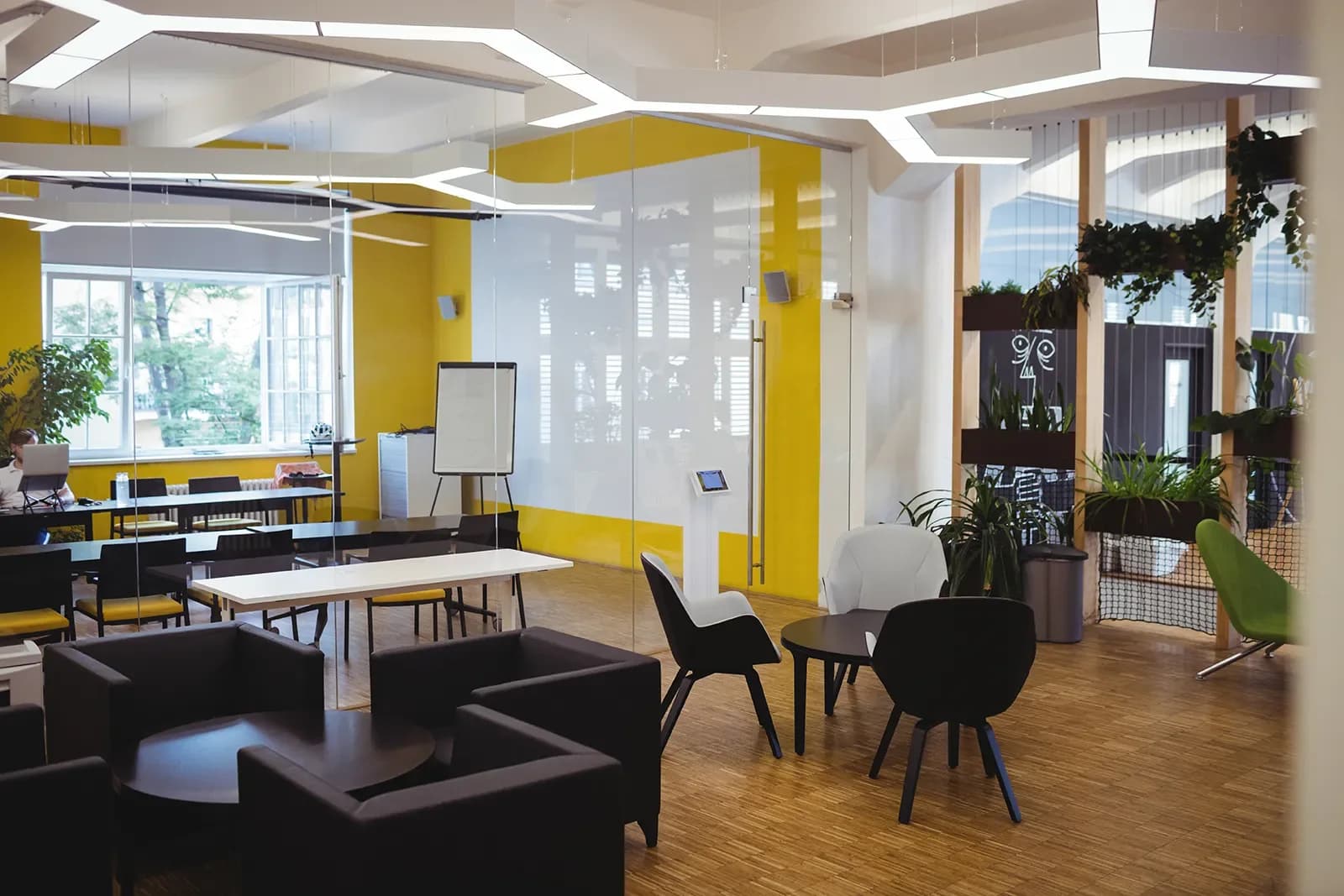 Ceiling lighting in an office interior