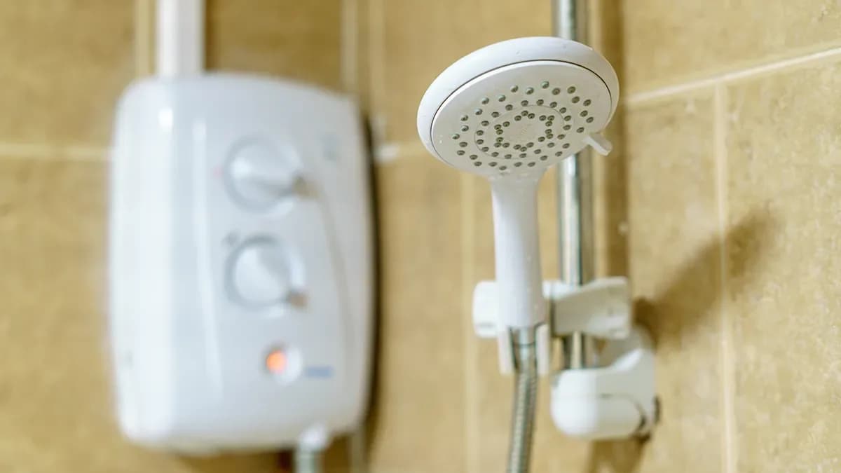 Wall-mounted electric shower and shower head
